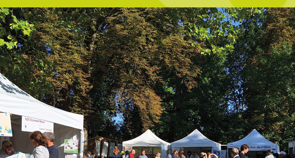 Rapport d'activités 2024, couverture