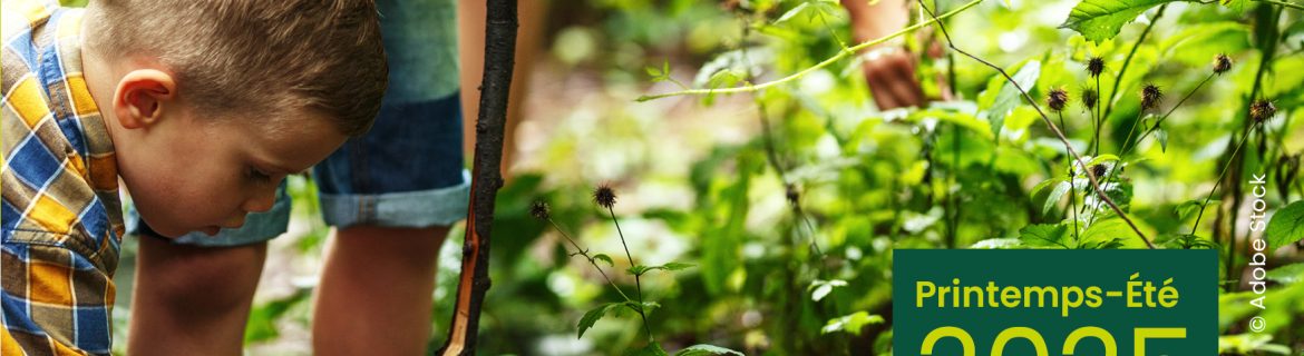 Les rendez-vous du Parc naturel régional été 2025