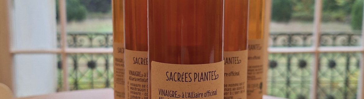 Vinaigre d'alliaire, un produit local à base de plante sauvage