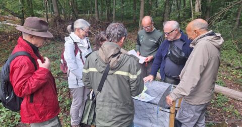 groupe de bénévoles