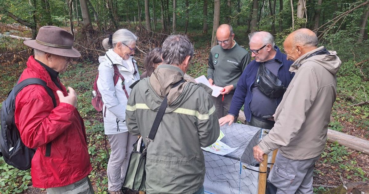 groupe de bénévoles