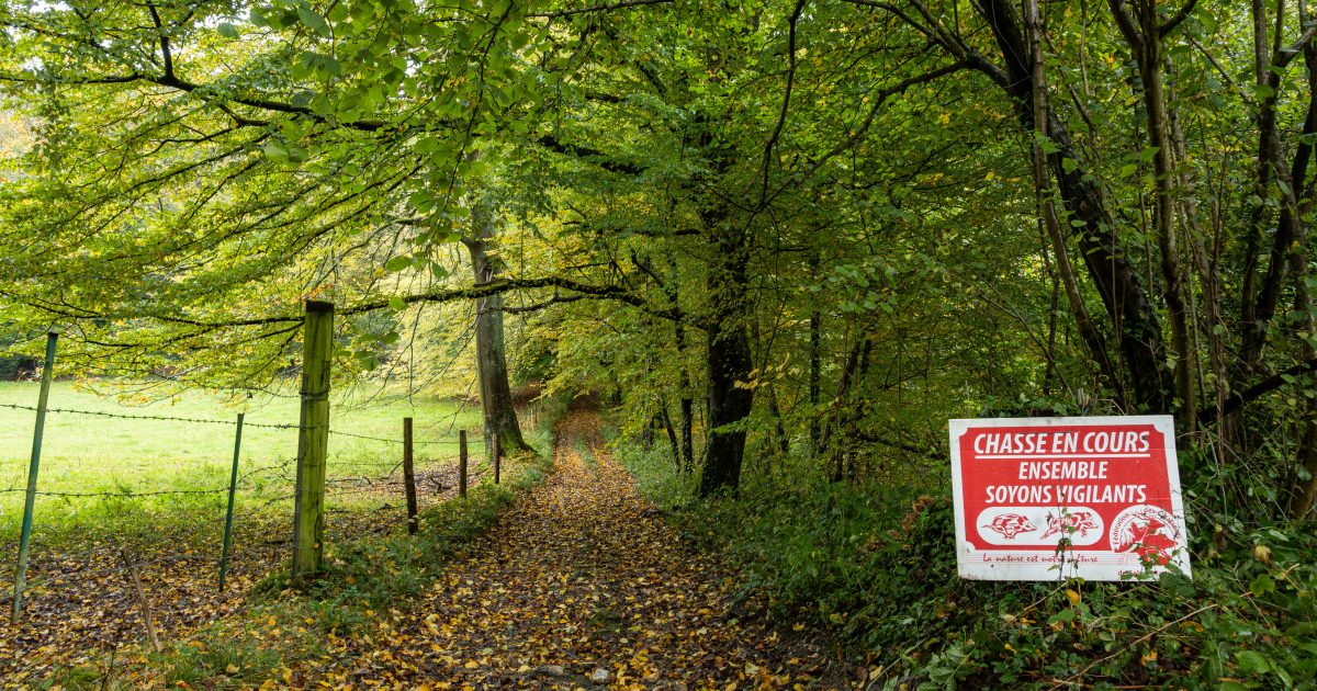 Lisière de forêt avec panneau chasse en cours