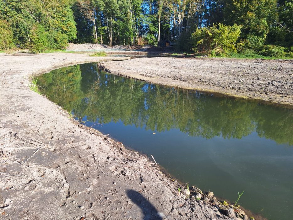 Travaux de reméandrage au marais d'Avilly