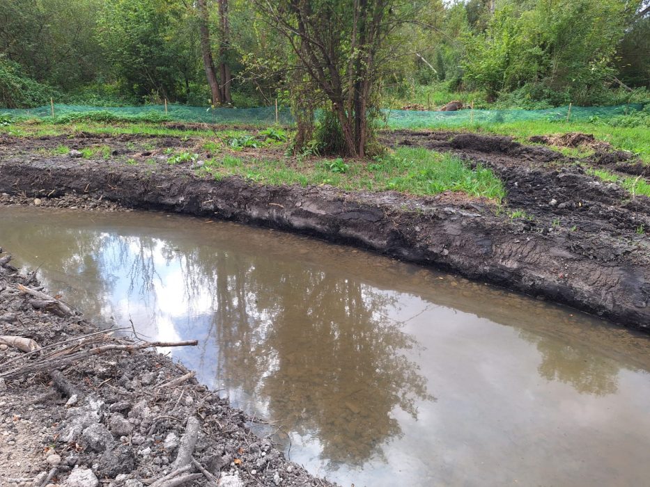 Travaux de reméandrage au marais d'Avilly